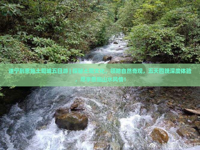 遂宁到恩施土司城五日游