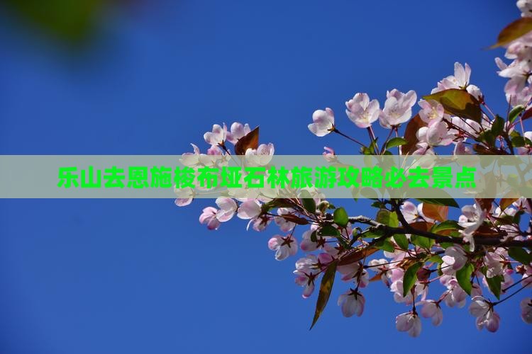 乐山去恩施梭布垭石林必去地