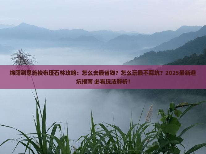 绵阳到恩施梭布垭石林攻略