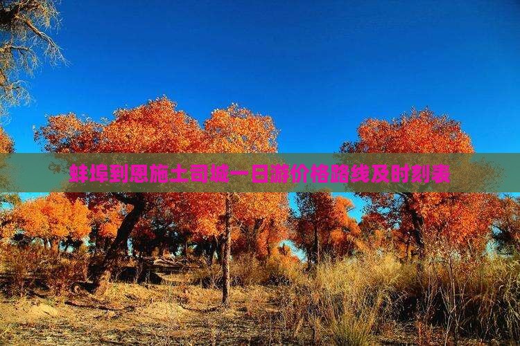 蚌埠到恩施土司城一日