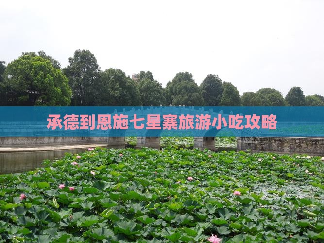 承德到恩施七星寨旅游小吃