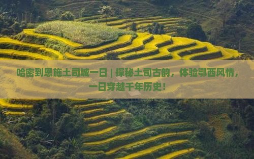 哈密到恩施土司城一日