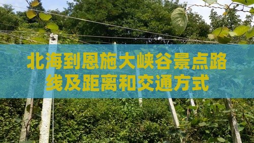 北海到恩施大峡谷景点