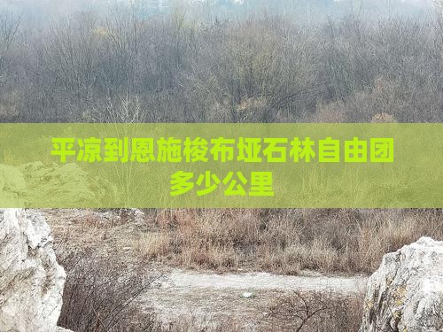 平凉到恩施梭布垭石林自由团