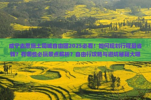 咸宁去恩施土司城自由团