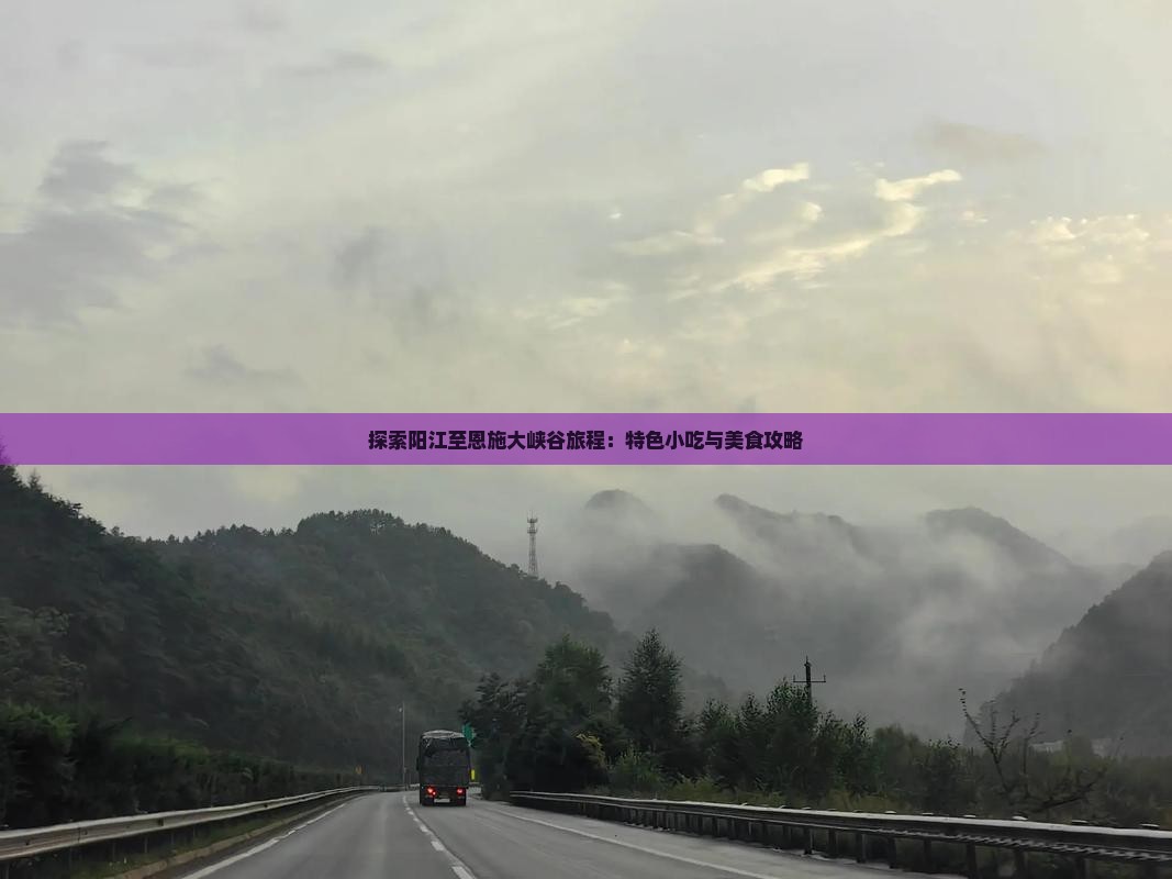 探索阳江至恩施大峡谷旅程：特色小吃与美食攻略