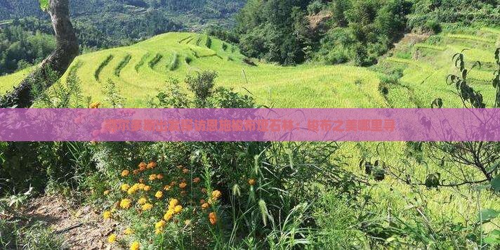 鄂尔多斯出发探访恩施梭布垭石林:梭布之美哪里寻 鄂尔多斯出发探访恩施梭布垭石林:梭布之美哪里寻