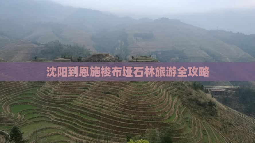 沈阳到恩施梭布垭石林旅游全攻略
