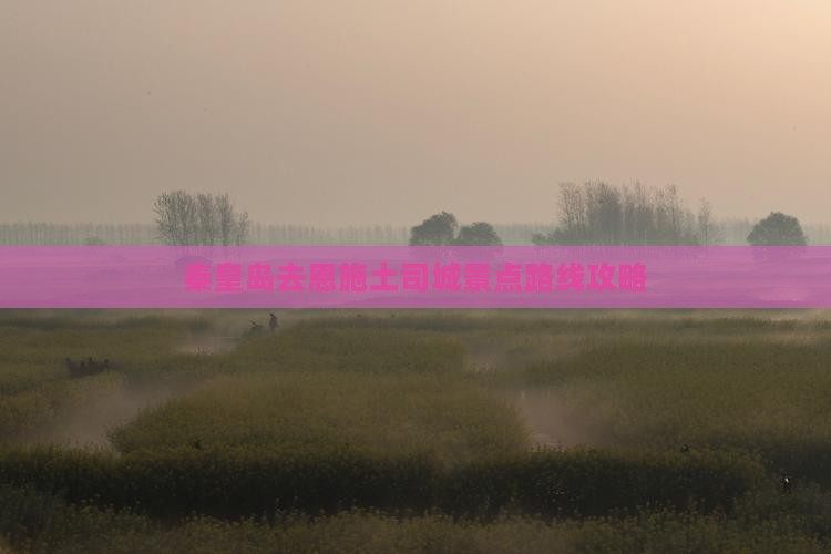 秦皇岛去恩施土司城景点路线攻略