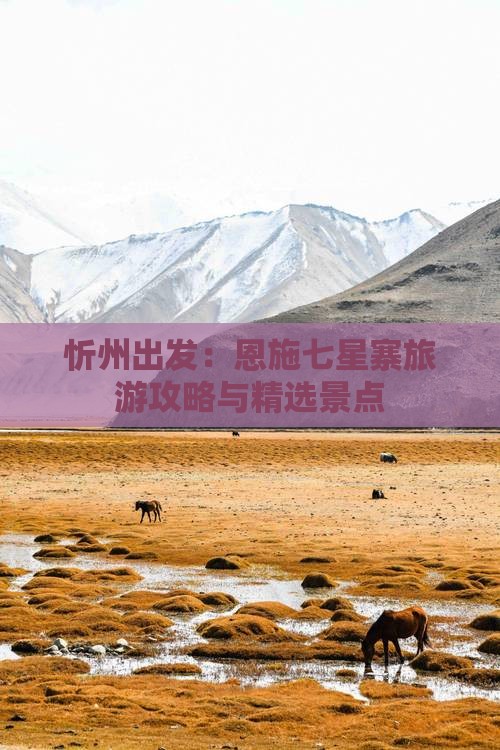 忻州出发：恩施七星寨旅游攻略与精选景点