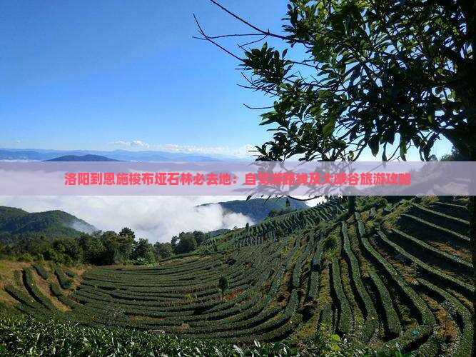 洛阳到恩施梭布垭石林必去地：自驾游路线及大峡谷旅游攻略