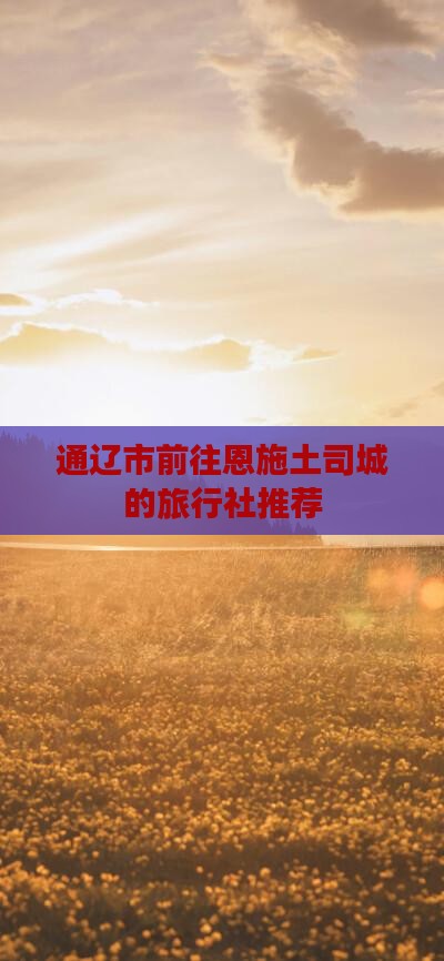 通辽市前往恩施土司城的旅行社推荐