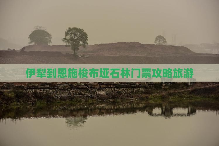 伊犁到恩施梭布垭石林门票攻略旅游