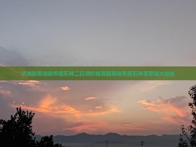 泸州到恩施梭布垭石林二日游价格及路犀梭布垭石林至恩施大峡谷