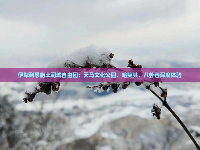 伊犁到恩施土司城自由团：天马文化公园、喀赞其、八卦巷深度体验