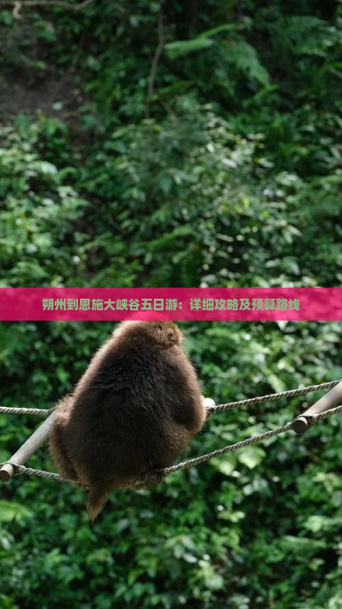 朔州到恩施大峡谷五日游：详细攻略及预算路线