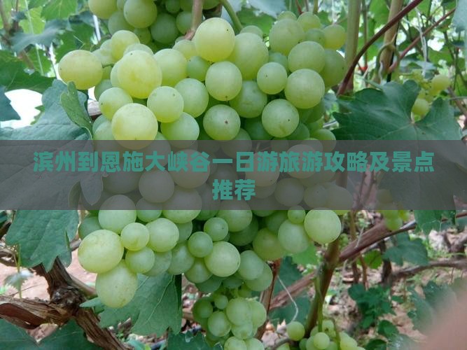 滨州到恩施大峡谷一日游旅游攻略及景点推荐