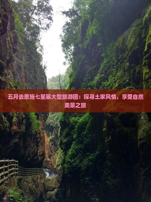 五月去恩施七星寨大型旅游团：探寻土家风情，享受自然美景之旅