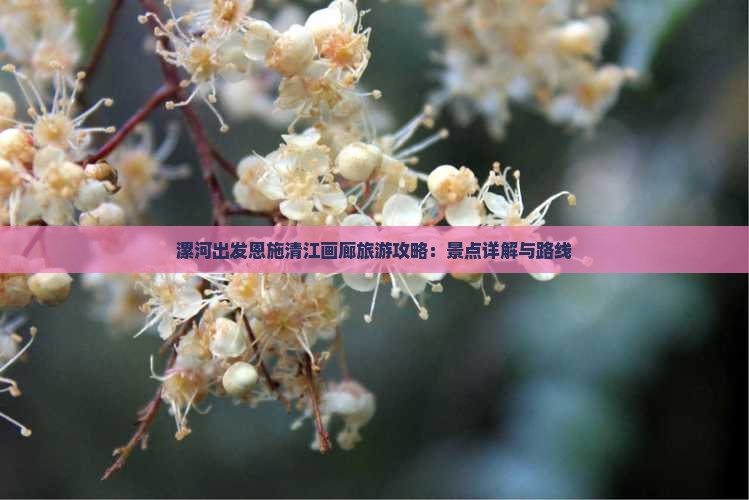 漯河出发恩施清江画廊旅游攻略：景点详解与路线
