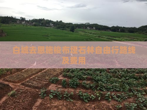 白城去恩施梭布垭石林自由行路线及费用