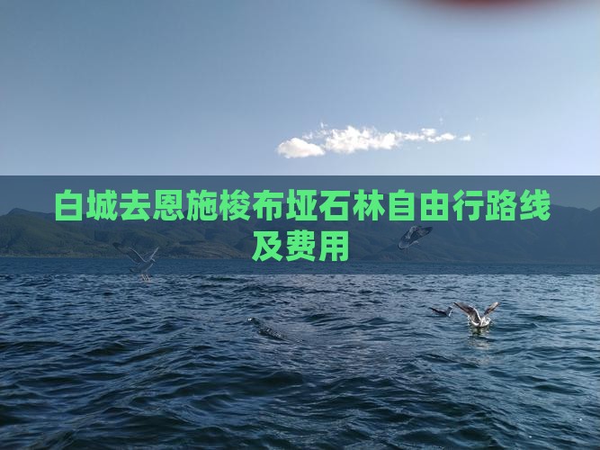 白城去恩施梭布垭石林自由行路线及费用