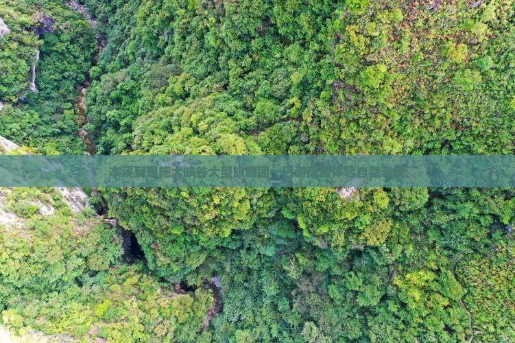 本溪到恩施大峡谷大型旅游团