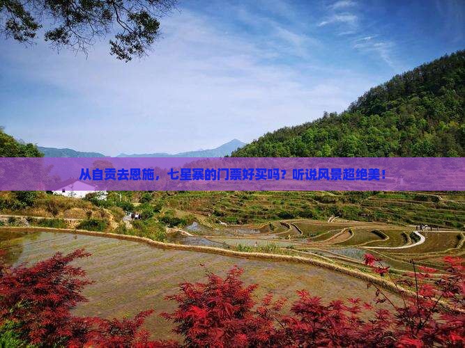 自贡到恩施七星寨门票