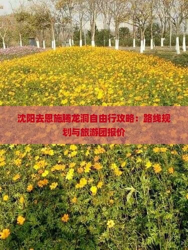 沈阳去恩施腾龙洞自由行