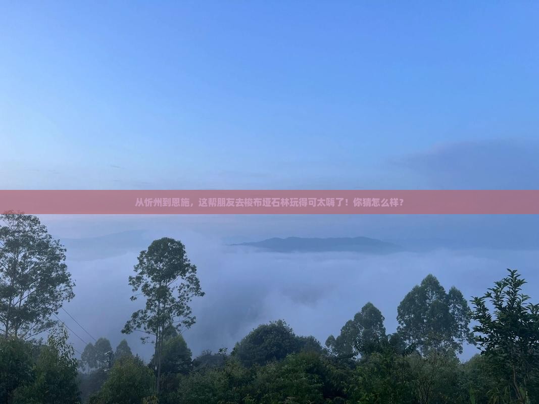 忻州到恩施梭布垭石林团体旅游