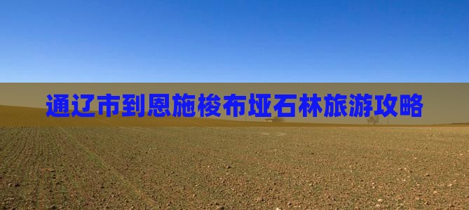 通辽市去恩施梭布垭石林团体旅游