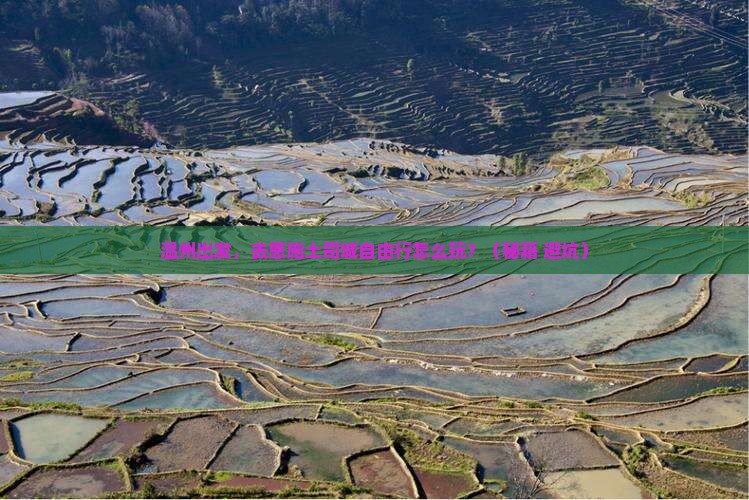 温州到恩施土司城自由行