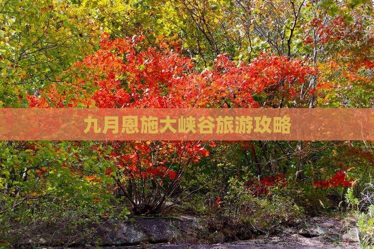 九月去恩施大峡谷一日