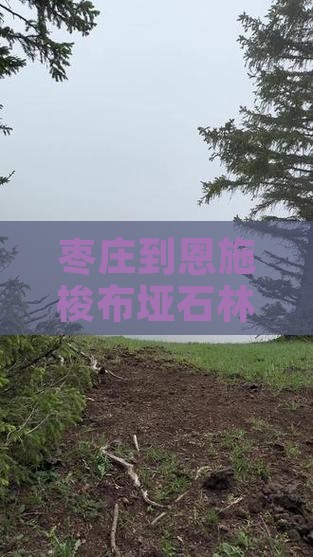 枣庄到恩施梭布垭石林哪里玩
