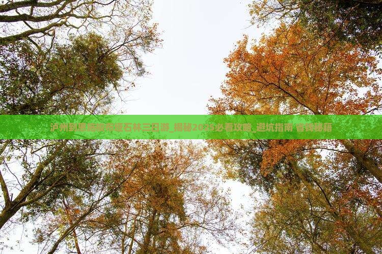 泸州到恩施梭布垭石林三日游