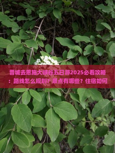 晋城去恩施大峡谷五日游