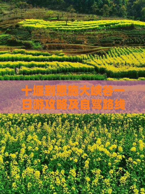 十堰到恩施大峡谷一日