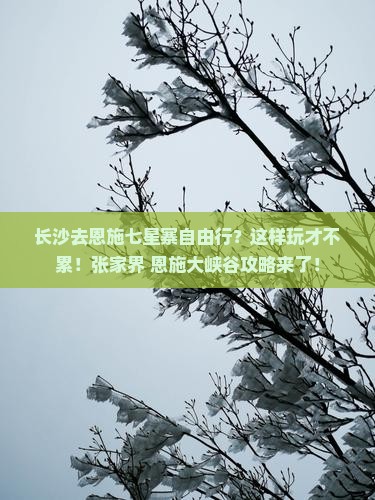 长沙去恩施七星寨自由行