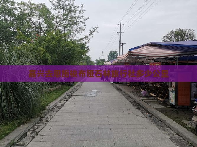 嘉兴去恩施梭布垭石林旅行社