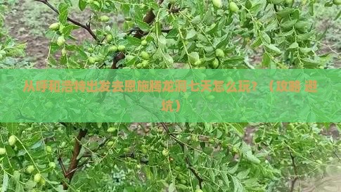 呼和浩特去恩施腾龙洞七日游