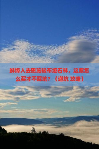 蚌埠到恩施梭布垭石林门票