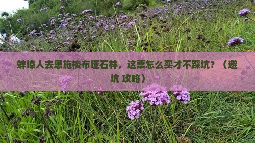 蚌埠到恩施梭布垭石林门票