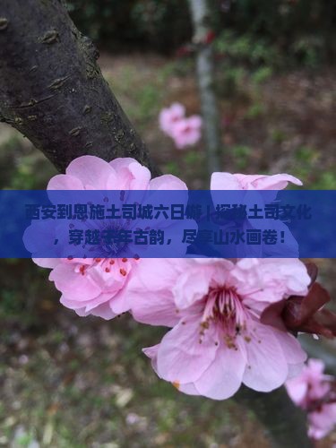 西安到恩施土司城六日游
