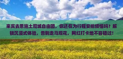 来宾去恩施土司城自由团