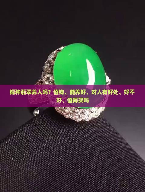 糯种翡翠养人吗？值钱、能养好、对人有好处、好不好、值得买吗