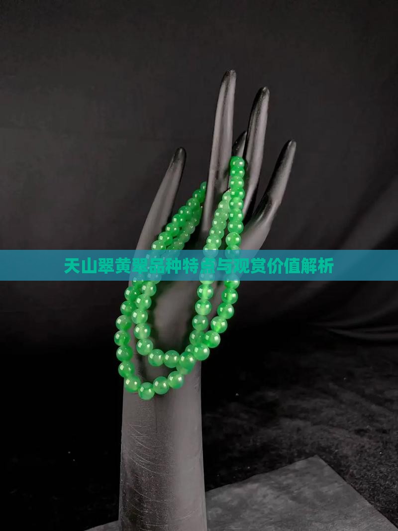 天山翠黄翠品种特点与观赏价值解析