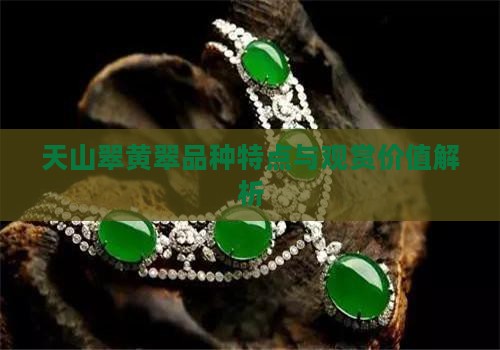 天山翠黄翠品种特点与观赏价值解析