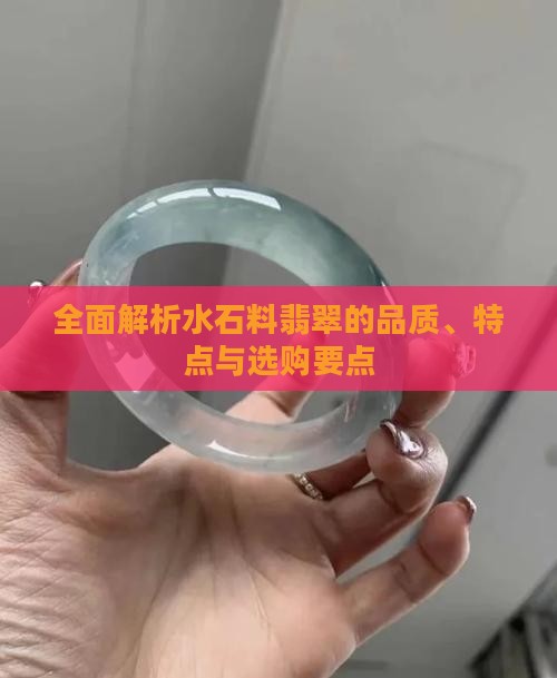 全面解析水石料翡翠的品质、特点与选购要点
