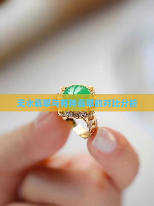 无水翡翠与有种翡翠的对比分析