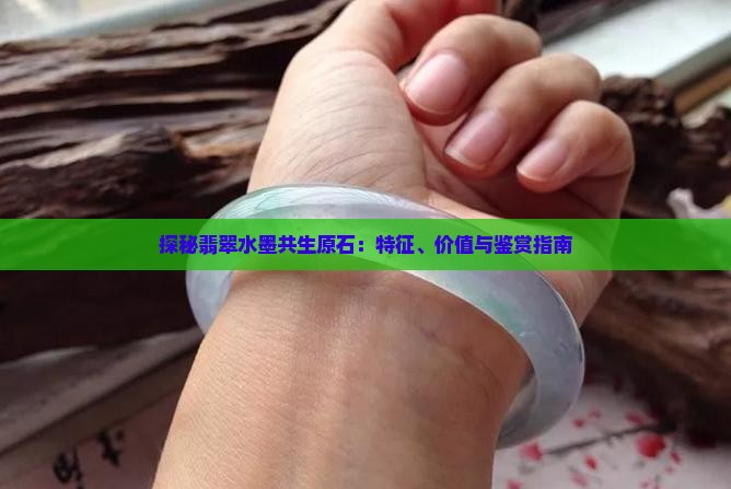 探秘翡翠水墨共生原石：特征、价值与鉴赏指南