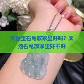 天然玉石龟放家里好吗？天然石龟放家里好不好